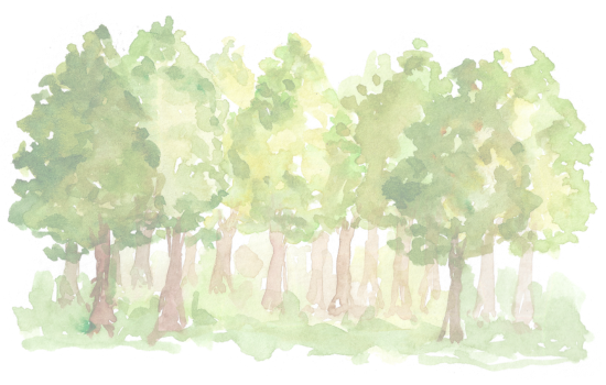 iPhone certification report showing device health status